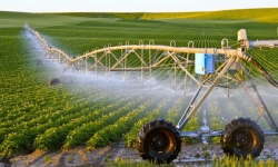 Tín dụng cho nông nghiệp công nghệ cao còn nhiều rào cản