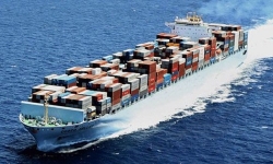 Doanh nghiệp vận tải biển chìm đắm trong khó khăn