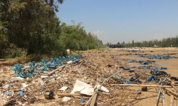 Thanh Hóa: Khai vống gần 300 tỉ đồng thiệt hại do bão số 10