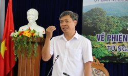 Vingroup, TH đang xem xét đầu tư 16.000 tỷ đồng trồng sâm Ngọc Linh