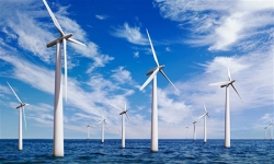 Nhu cầu nhân lực của ngành năng lượng tái tạo đang phát triển mạnh