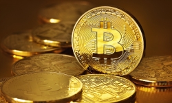 Giá Bitcoin ngày 26/11: Tăng mạnh mẽ lên mức 8.852 USD