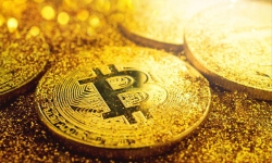 Bitcoin ngày 29/11: Chinh phục mốc giá 10.000 USD