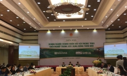 Doanh nghiệp vẫn e ngại đầu tư dù nông nghiệp Việt Nam có tiềm năng lớn