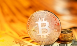 Giá Bitcoin ngày 5/12: Vẫn cao chót vót nhưng chưa lên đỉnh
