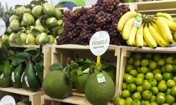 Việt Nam hoàn toàn đáp ứng được nhu cầu nhập khẩu trái cây từ Qatar