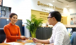 Sacombank thu giữ loạt tài sản khủng của vợ chồng Phạm Công Danh