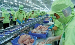 VASEP yêu cầu Mỹ xem xét lại việc áp thuế cao đối với cá tra Việt Nam