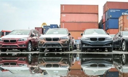 Vì sao hơn 800 xe BMW đắp chiếu hàng năm trời?