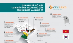 EPS của CENLAND vượt 10.000 đồng nhờ định hướng kinh doanh khác biệt