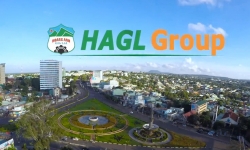 HAGL đặt mục tiêu năm 2018 LNTT 200 tỷ đồng, doanh thu mảng trái cây dự kiến gần 4.000 tỷ đồng