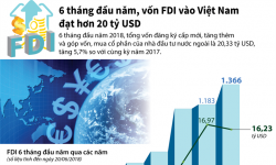 [Infographic] 6 tháng đầu năm, vốn FDI vào Việt Nam đạt hơn 20 tỷ USD