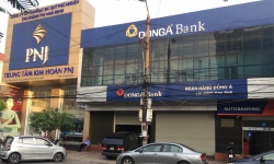Đại án Đông Á Bank: Vì sao nguyên giám đốc Công ty Lương thực Nam Định bị khởi tố?
