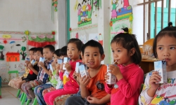 Nghìn tỷ cho 'sữa học đường': Vì sao nhiều bậc cha mẹ còn băn khoăn?