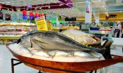 Thuỷ sản Việt vào siêu thị gặp khó