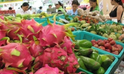 Nửa tỷ USD trái cây Thái Lan 'mượn đường' Việt Nam sang Trung Quốc