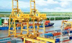 Cảng Hải Phòng, Điện đạm Ninh Bình, Ethanol Bình Phước sẽ bị kiểm toán trong năm 2019