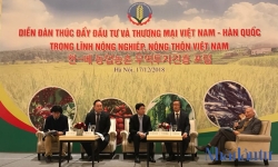 Nguyên trưởng đại diện FAO tại Việt Nam: 'Đầu tư của Hàn Quốc vào nông nghiệp Việt Nam vẫn chưa rõ nét'