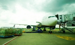 Hãng hàng không ngoại tăng tốc mở đường bay vào Việt Nam
