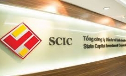 SCIC sẵn sàng tiếp nhận hơn 100 doanh nghiệp