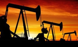 OPEC tỏ ý 'phớt lờ' ông Trump, giá dầu tăng nhẹ