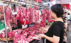 8 dấu hiệu nhận biết thịt nhiễm dịch tả lợn châu Phi