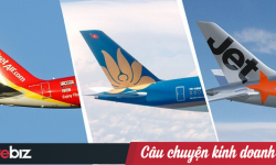 Các hãng hàng không Việt Nam đang sở hữu những dòng máy bay nào?