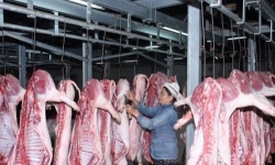 Giá thịt lợn trong nước 2019 diễn biến khó lường