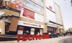Techcombank dự lãi 11.750 tỷ đồng, bầu đại diện Warburg Pincus vào HĐQT