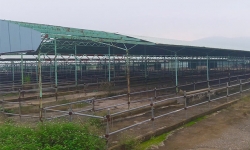 Bộ Công an yêu cầu định giá dự án nuôi bò lớn nhất Hà Tĩnh