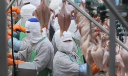 Đại gia thịt heo CP đã đầu tư hơn 1 tỉ USD vào Việt Nam