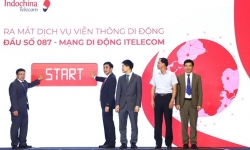 Newtatco hay Bitexco là chủ sở hữu mạng di động thứ 6 tại Việt Nam?