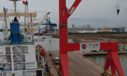 Bà Rịa - Vũng Tàu sẽ thu hồi các dự án cảng biển chậm tiến độ nếu chủ đầu tư không có năng lực