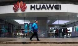 Doanh số điện thoại Huawei giảm mạnh tại Đức
