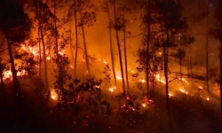 Thừa Thiên - Huế: Cháy rừng dữ dội, uy hiếp đường dây 500kv