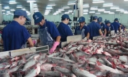 Mỹ tăng mạnh thuế chống bán phá giá, xuất khẩu cá tra giảm mạnh