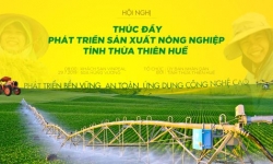 Thừa Thiên Huế kêu gọi đầu tư phát triển nông nghiệp công nghệ cao