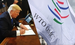 Tổng thống Donald Trump thúc ép WTO ngừng cho phép Trung Quốc và các nước giàu nhất thế giới nhận đối xử khoan hồng