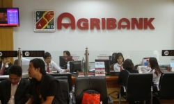 Agribank báo lãi đột biến 8.200 tỷ đồng 7 tháng đầu năm