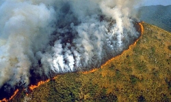 G7 chi 20 triệu USD cứu cháy rừng Amazon, Brazil thẳng thừng từ chối kèm những lời mỉa mai