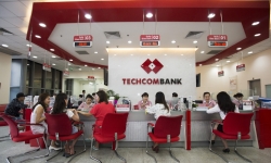 Techcombank là ngân hàng duy nhất có mặt trong top 3 doanh nghiệp tư nhân có lợi nhuận tốt nhất năm 2019