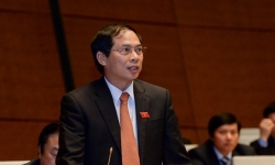 Thứ trưởng Bộ Ngoại giao: Anh chuyển hồ sơ 4 người tử vong trong container về Việt Nam