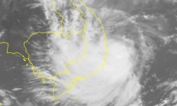Tin bão mới nhất: Bão số 6 Nakri giật cấp 13 vào Bình Định - Khánh Hòa trong đêm nay