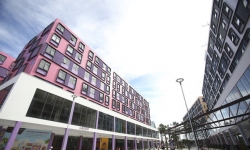 Chỉ 50% căn hộ condotel tại Cocobay Đà Nẵng được phép chuyển thành chung cư