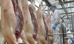 Nhập khẩu thịt lợn của Trung Quốc tăng vọt