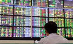 Thị trường chứng khoán Việt Nam diễn biến thế nào sau loạt tín hiệu tích cực từ thế giới?