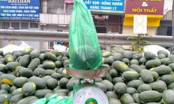 Bộ Công thương kêu gọi người dân chung tay ủng hộ nông sản Việt ảnh hưởng bởi virus Corona