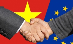 Đầu tư của EU vào Việt Nam như thế nào?