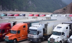 Hơn 550 container nông sản ùn ứ tại cửa khẩu