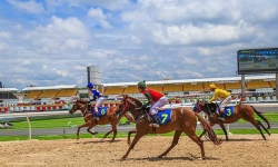 Câu lạc bộ Cưỡi ngựa Olympic - tiền đề cho đua ngựa Việt Nam hội nhập quốc tế